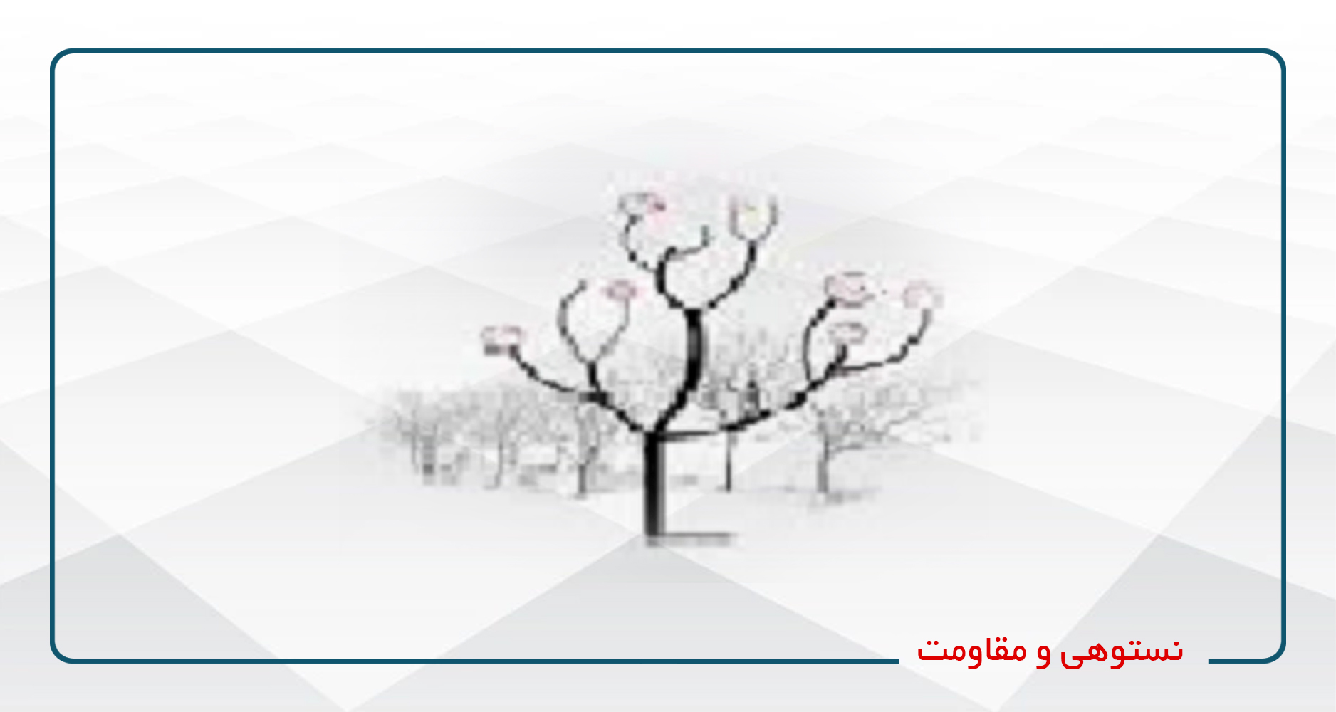 /center/14/course-category/323/